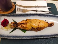 -T館·花园艺术餐厅