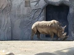 -新疆天山野生动物园