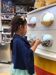 -乐高品牌旗舰店(人民广场店)