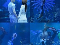 -哈尔滨波塞冬海底世界