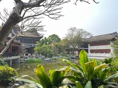 -顺峰山公园