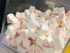 桃心棉花糖-狐狸和向日葵(北京路店)