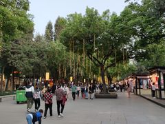 -大雁塔北广场音乐喷泉