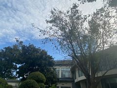 -昆山城市生态森林公园