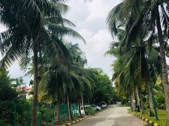 -三亚珠江南田温泉度假区