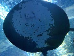 -乌鲁木齐海洋馆