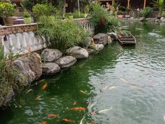 -大门水乡·顺德菜