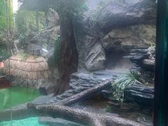 -屯门公园
