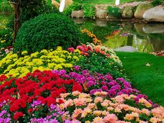 -上海共青森林公园