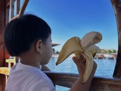 -白洋淀景区