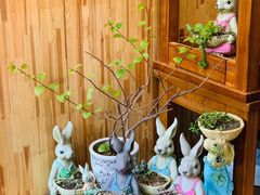 -谷咖啡·鲜花绿植花园餐厅