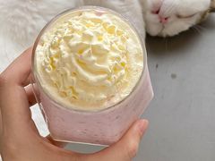 -喵园·猫主题咖啡厅·撸猫·猫咖(国贸店)