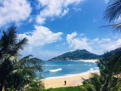 -广东惠东海龟国家级自然保护区