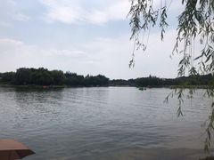 -东方绿舟景区