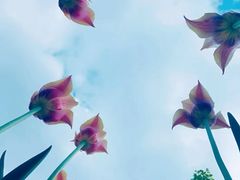 -长春公园(普阳街道)