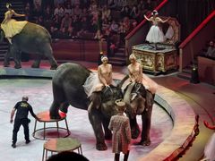 -俄罗斯国家大马戏团