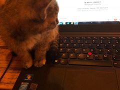 -时光转角咖啡馆(西康路店)