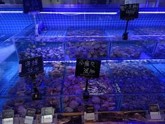 -渔民船说·北塘海鲜·天津菜·海肠捞饭(北塘古镇店)