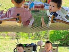 -丁香湖公园