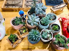 -肆兮眼镜·蔡司·徕卡战略合作店(大坪店)
