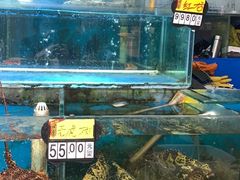 -岳各庄批发市场(西四环中路店)