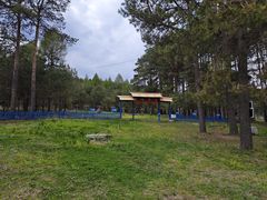 -玉泉威虎山森林公园