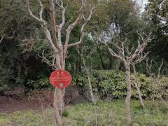 -黄兴公园