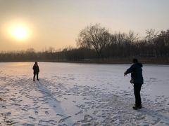 -大兴滨河森林公园