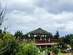 -养马岛旅游度假区