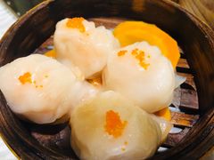 至尊虾饺皇-至尊强仔(正光北街店)