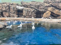 -珠海长隆海洋王国