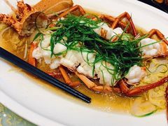 清蒸波斯龙虾-富黎华海鲜大酒楼(正大广场店)