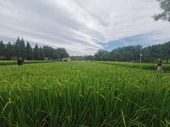 -北坞公园