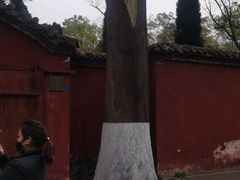 -武侯墓风景区