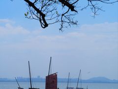 -贡湖湾湿地公园