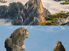 -黄山风景区