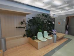 -纯粹医美