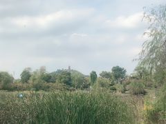 -山水间小院