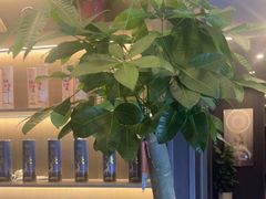 -鹿栖.精油SPA(金山世纪城店)