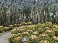 -深圳仙湖植物园