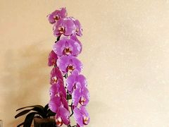 -江南环球港