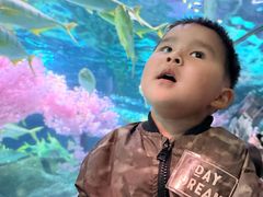 -大连圣亚海洋世界