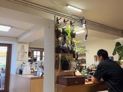 -本無咖啡·BeanWood Coffee
