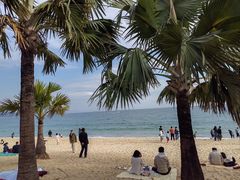 -大梅沙海滨公园