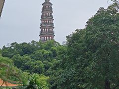 -顺峰山公园