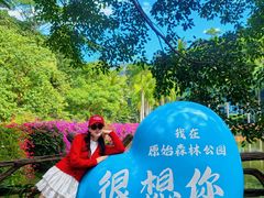 -西双版纳原始森林公园