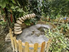 -呀路古热带植物园