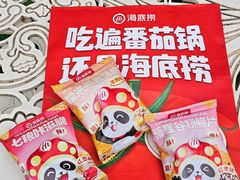 -海底捞火锅(太阳宫凯德mall店)