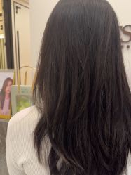 -YESIDO椰岛造型