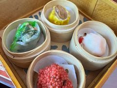 -广州都市观光巴士(粤陶巴)